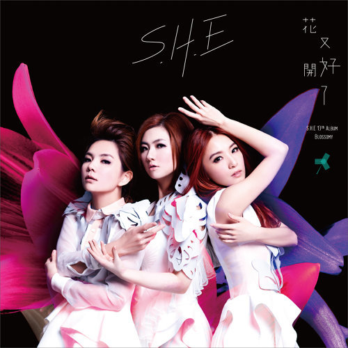 Say Goodbye S.H.E 歌詞 / lyrics