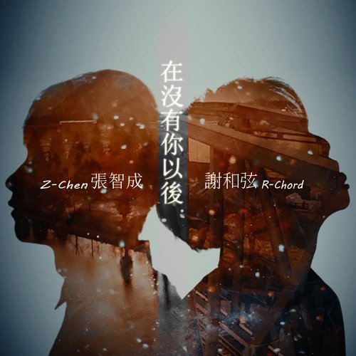 在沒有你以後 謝和弦, 張智成 歌詞 / lyrics