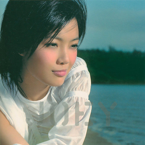 The Confession Joey Yung 歌詞 / lyrics