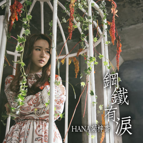 Steel Has Tears Hana Kuk 歌詞 / lyrics