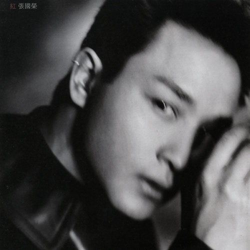 Blame You For Being Too Beautiful Leslie Cheung 歌詞 / lyrics