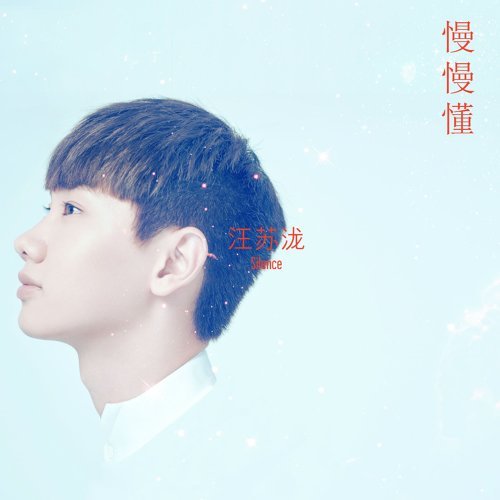 小星星 汪苏泷 歌詞 / lyrics