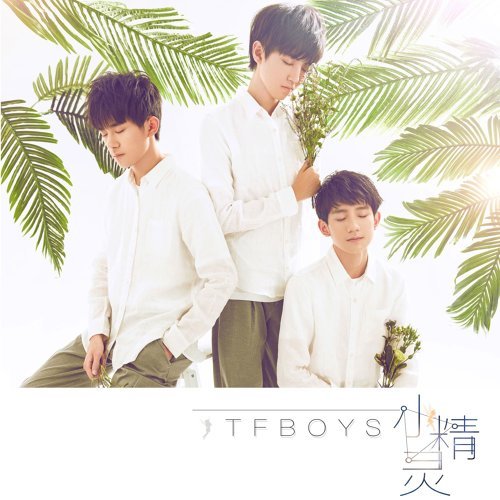 小精靈 TFBOYS 歌詞 / lyrics