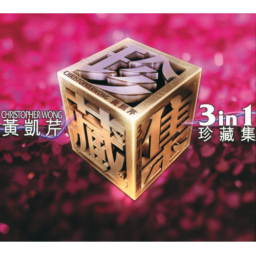 情深缘浅 黄凯芹 歌詞 / lyrics