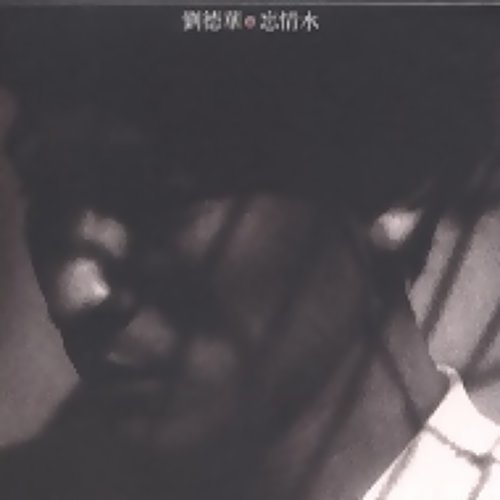 纏綿 劉德華 歌詞 / lyrics