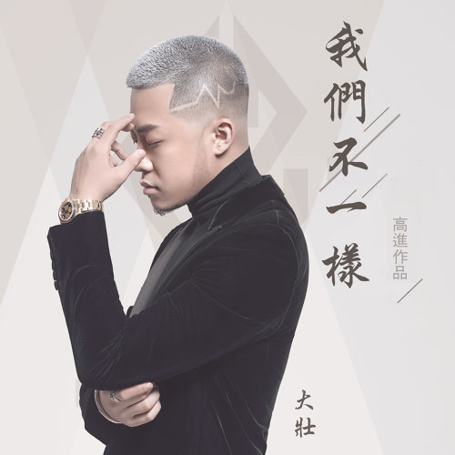 我们不一样 大壮 歌詞 / lyrics