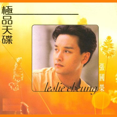 Running Towards The Future Leslie Cheung 歌詞 / lyrics