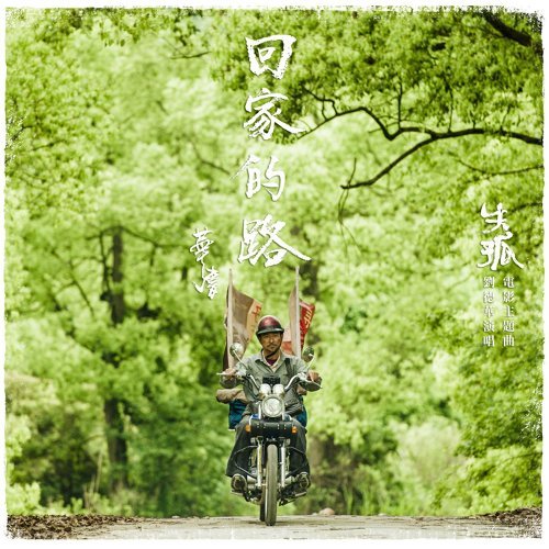 The Way Home Andy Lau 歌詞 / lyrics