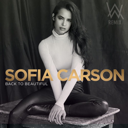 Back To Beautiful Sofia Carson, Alan Walker 歌詞 / lyrics