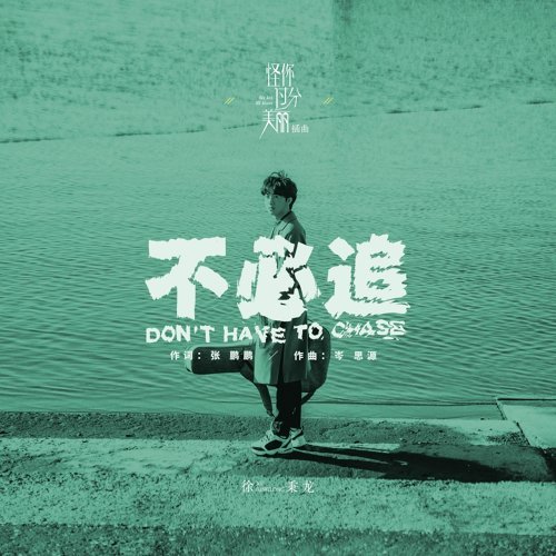 不必追 (怪你过分美丽插曲) 徐秉龙 歌詞 / lyrics