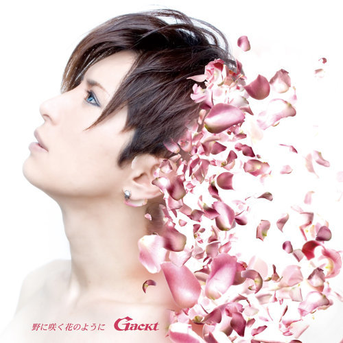 Like A Flower Blooming In The Field Gakuto Oshiro 歌詞 / lyrics