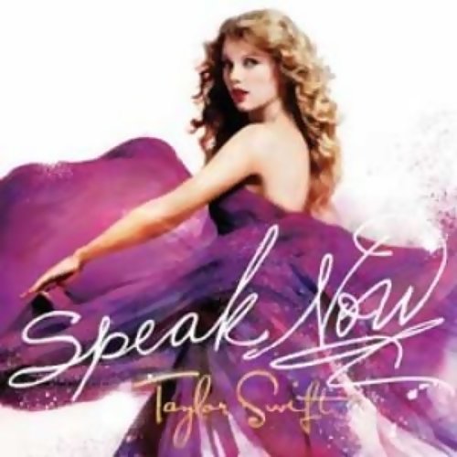 Speak Now Taylor Swift 歌詞 / lyrics