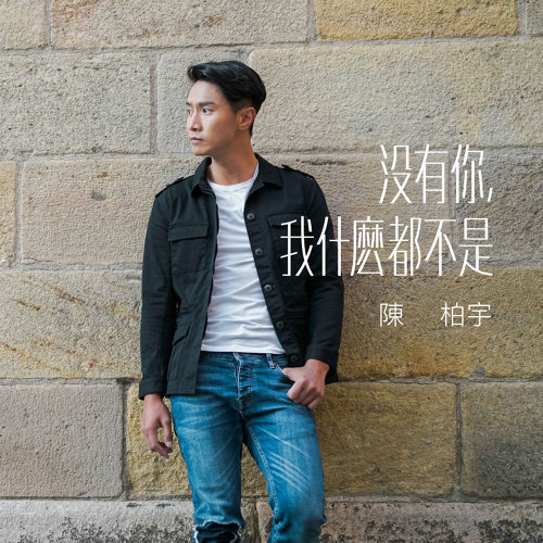 沒有你, 我甚麼都不是 陳柏宇 歌詞 / lyrics