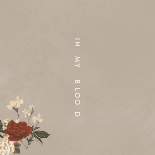In My Blood Shawn Mendes 歌詞 / lyrics