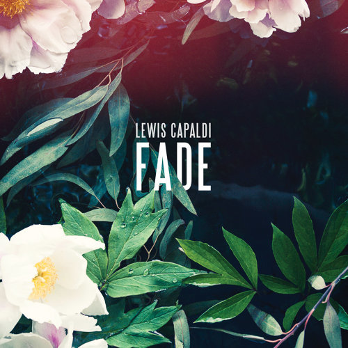 Fade Lewis Capaldi 歌詞 / lyrics