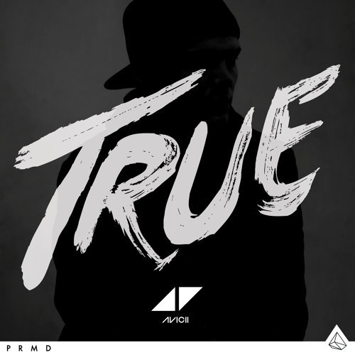 Hey Brother Avicii 歌詞 / lyrics