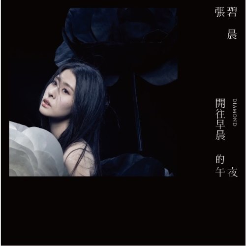 Half And Half Zhang Bichen 歌詞 / lyrics