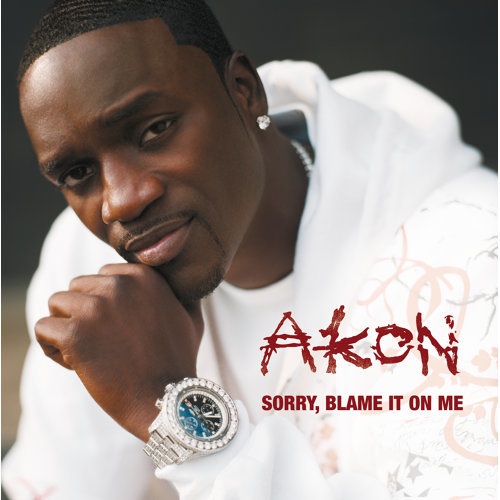 Sorry, Blame It On Me Akon 歌詞 / lyrics