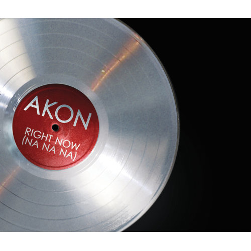 Right Now (Na Na Na Na) Akon 歌詞 / lyrics