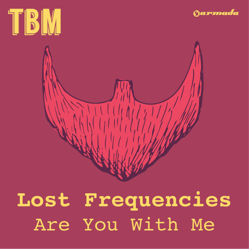 Are You With Me Lost Frequencies 歌詞 / lyrics
