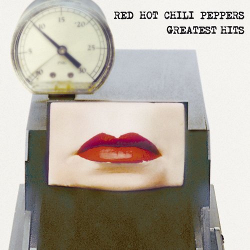 Californication Red Hot Chili Peppers 歌詞 / lyrics