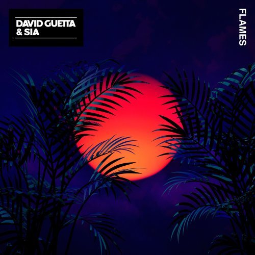 Flames Sia, David Guetta 歌詞 / lyrics