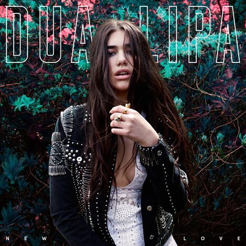 New Love Dua Lipa 歌詞 / lyrics