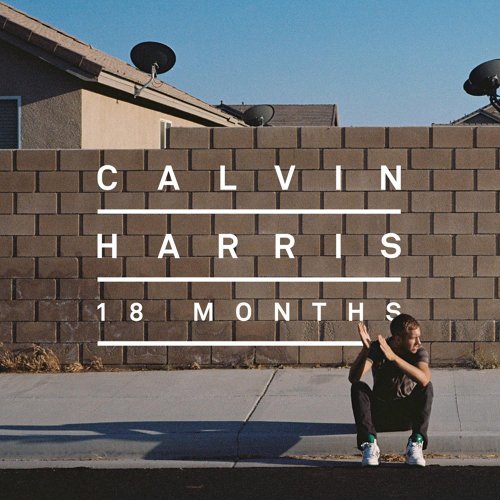 I Need Your Love Calvin Harris, Ellie Goulding 歌詞 / lyrics