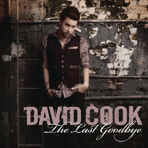 The Last Goodbye David Cook 歌詞 / lyrics