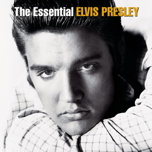 Mystery Train Elvis Presley 歌詞 / lyrics
