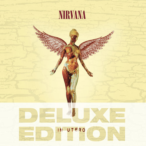Heart Shaped Box Nirvana 歌詞 / lyrics