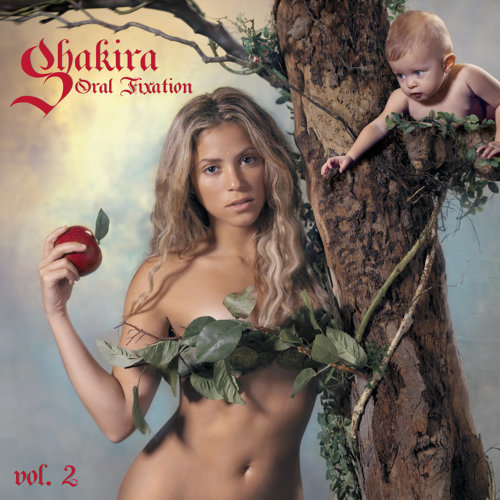 Hips Don't Lie Shakira 歌詞 / lyrics