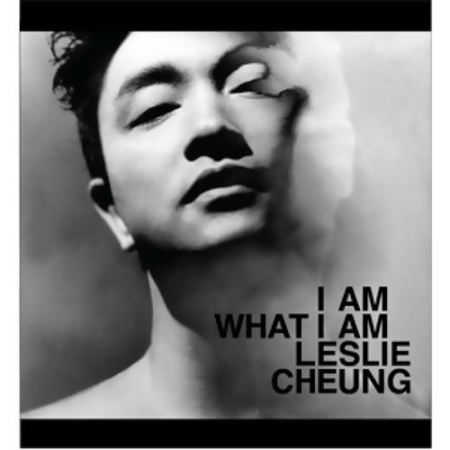Pillow Leslie Cheung 歌詞 / lyrics