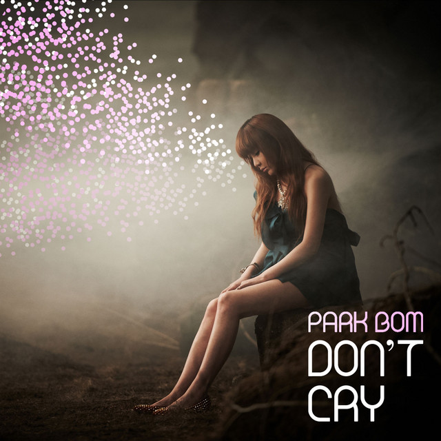 Don't Cry Park Bom