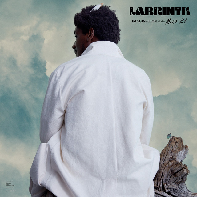 Mount Everest Labrinth