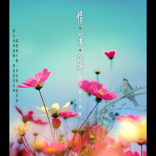 血染的风采 王虹