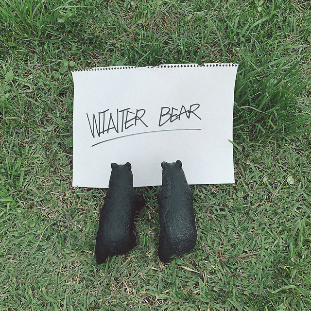 Winter Bear BTS