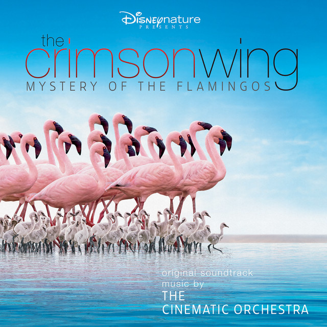 Arrival Of The Birds Cinematic Orchestra