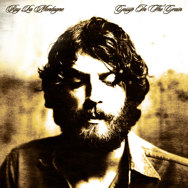 You Are The Best Thing Ray LaMontagne