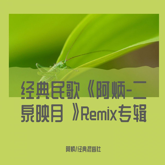 二泉映月 阿炳