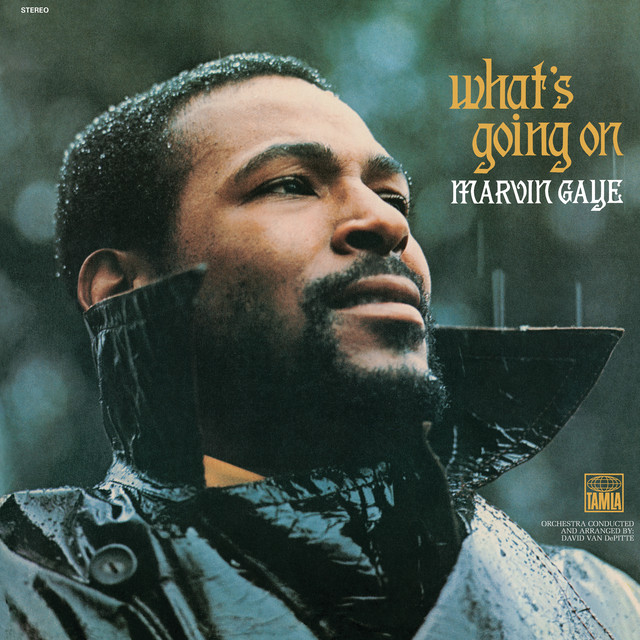 Mercy Mercy Me (The Ecology) Marvin Gaye