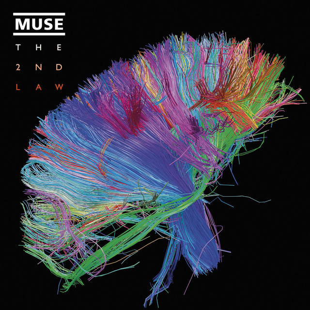 Panic Station Muse