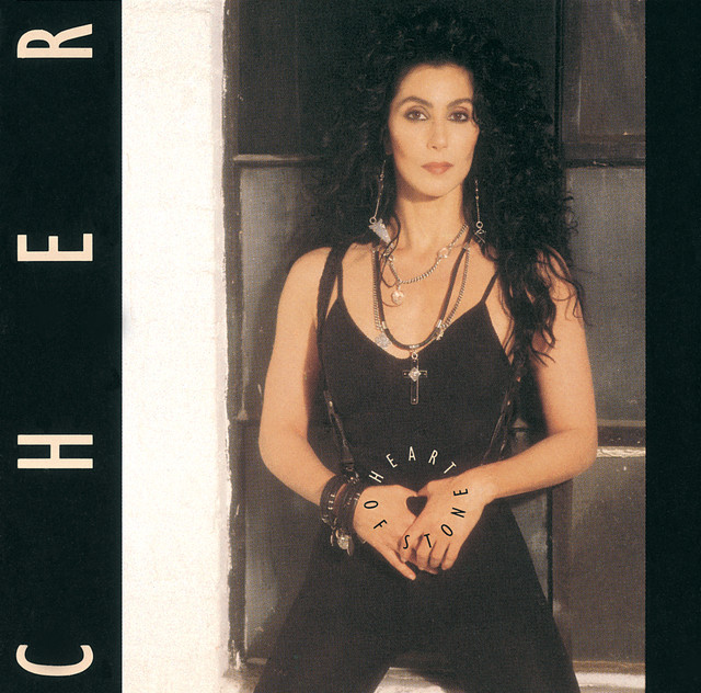 If I Could Turn Back Time Cher