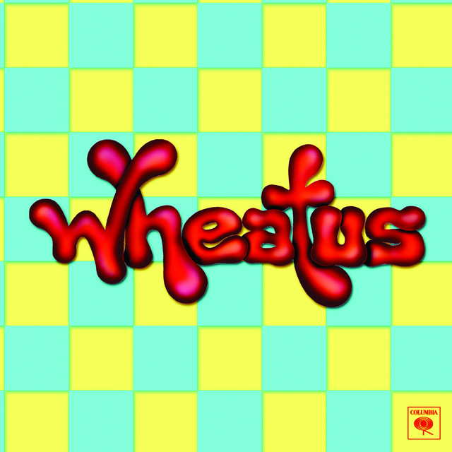 Teenage Dirtbag Wheatus