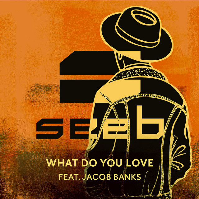 What Do You Love Seeb