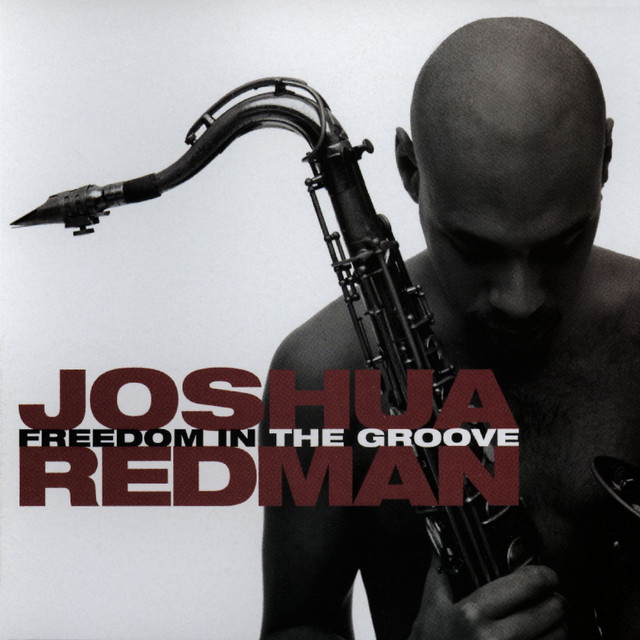 Hide And Seek Joshua Redman