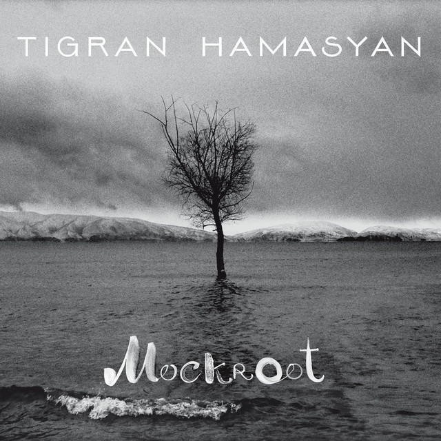 Entertain Me Tigran Hamasyan