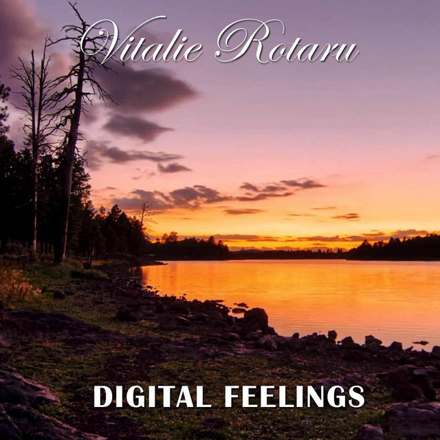Digital Feelings Vitalie Rotaru