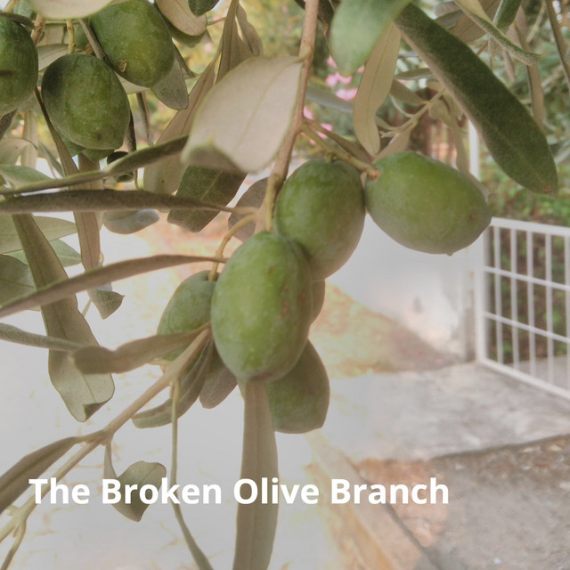 Broken Olive Branch Ali Riza Saral