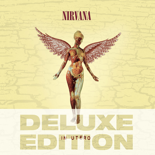 Rape Me Nirvana